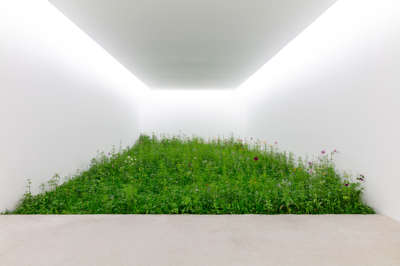 Isolation (48°08’51.4″N 8°38’08.8″E) #1