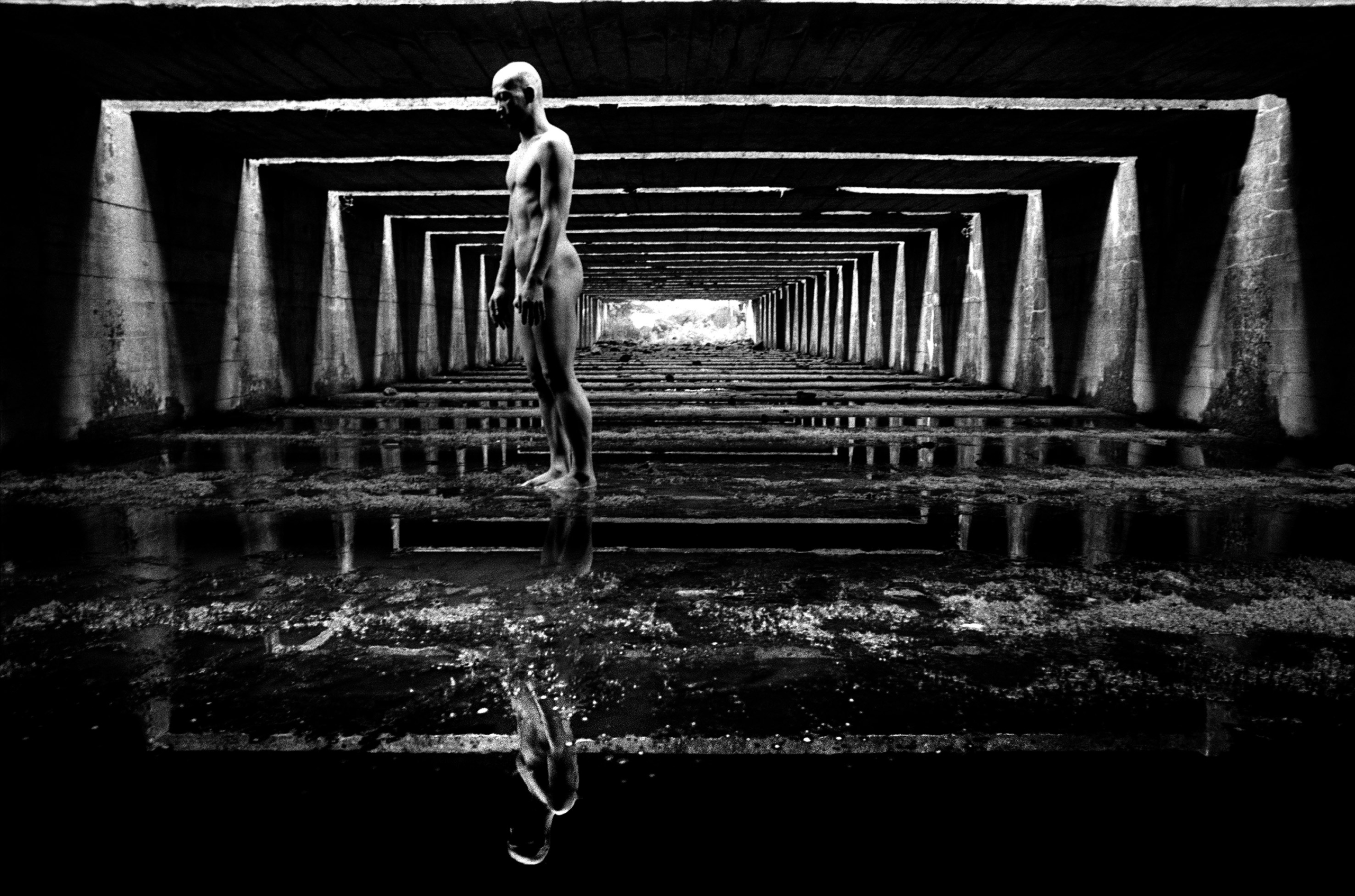 Photosynthesis “Bordeaux-11”