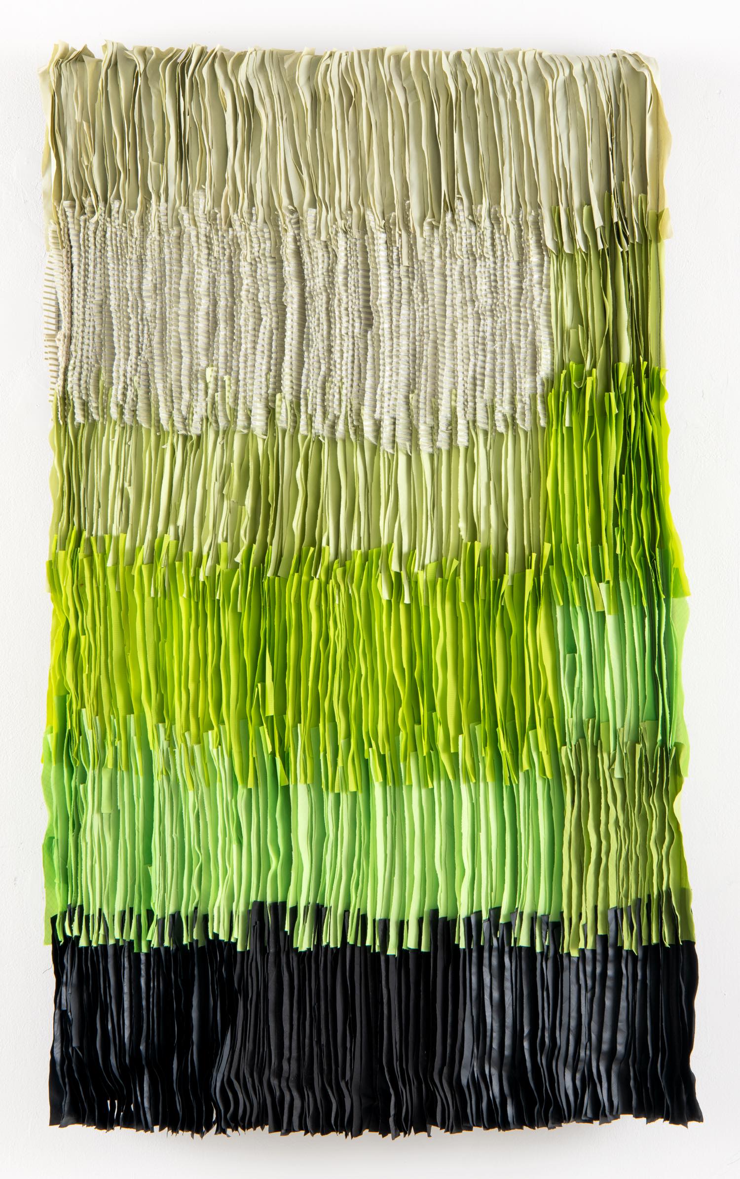 Labyrinth of Passions (The Green process)