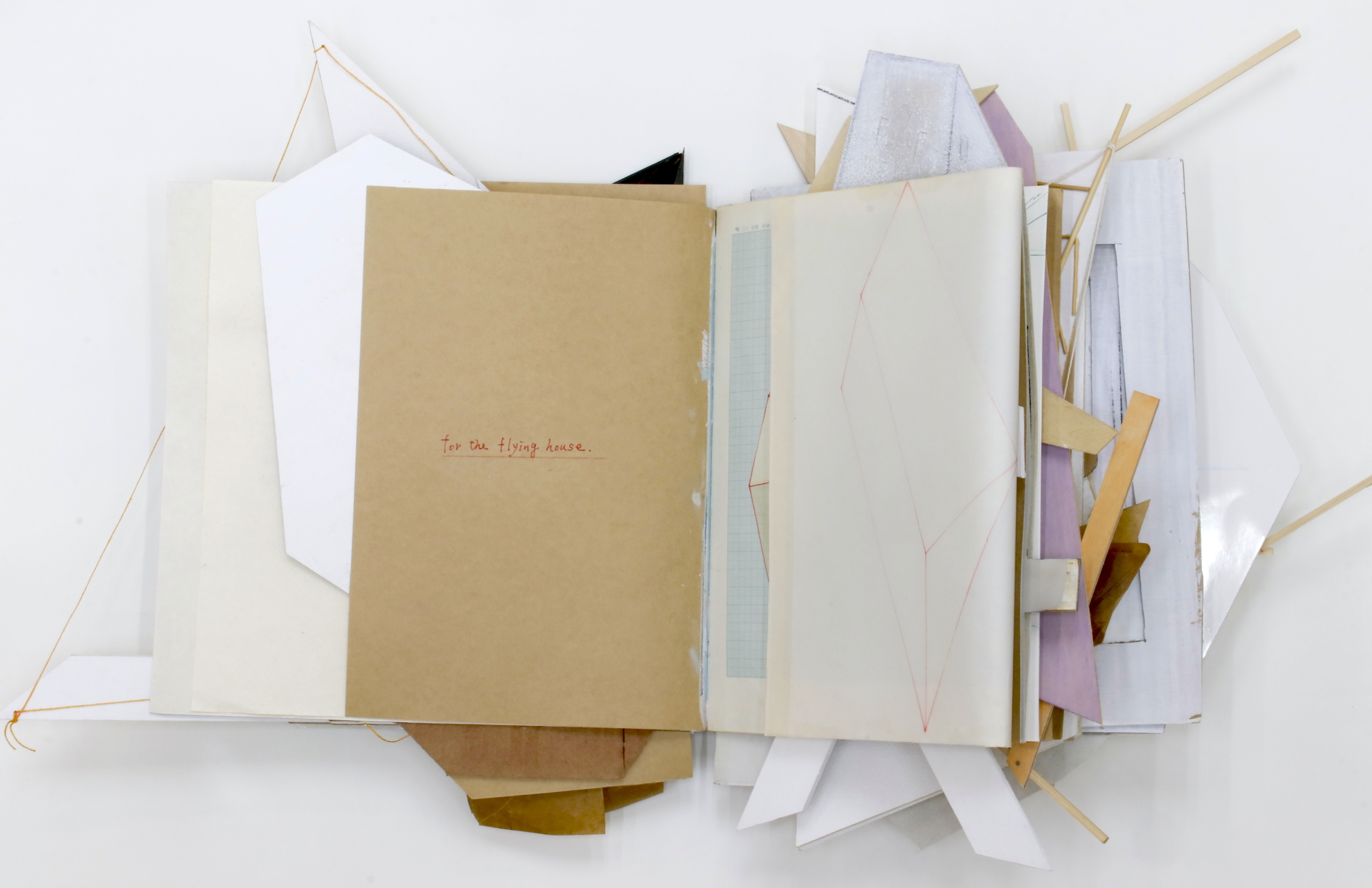 Washizu Drawing vol.12