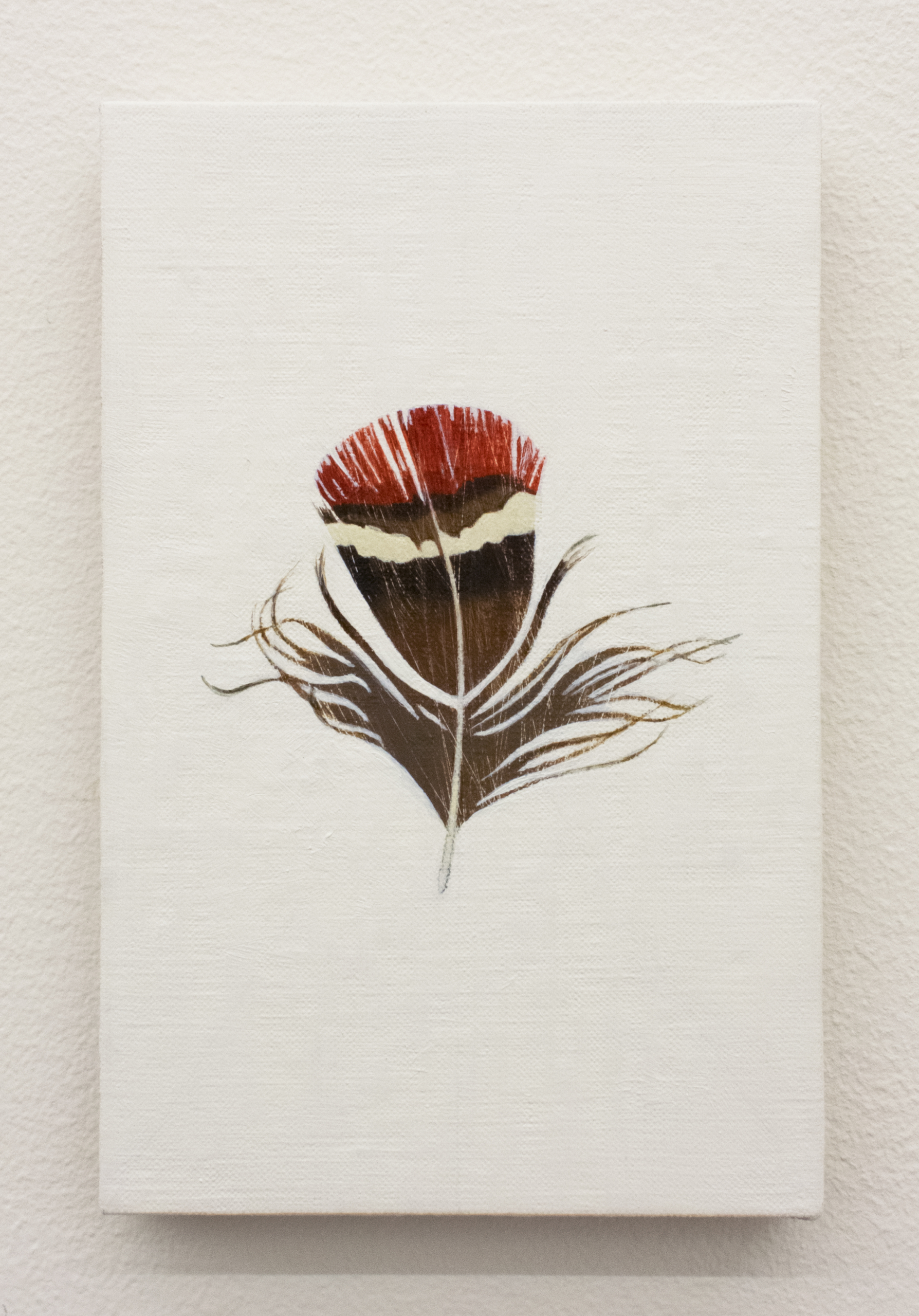 Flight: Gray Fiery Pheasant